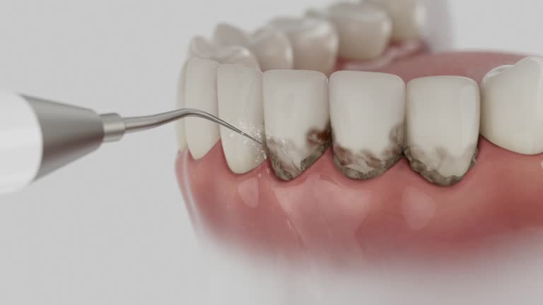 Reliable Dental contractor in Savannah, TN by Dentist Open Now